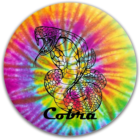 Design 540073 Disc Golf and Ultimate Discs