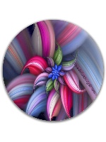 Design 54155