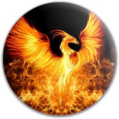 Design 543549