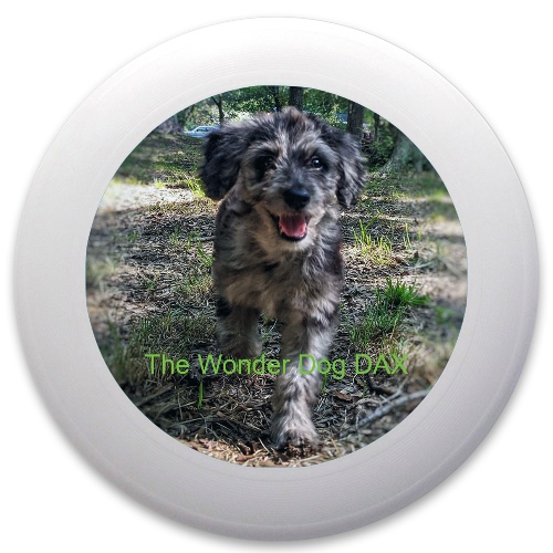 Design 544266 Disc Golf and Ultimate Discs