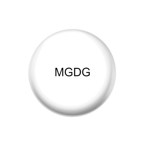 Design 549804 Disc Golf and Ultimate Discs