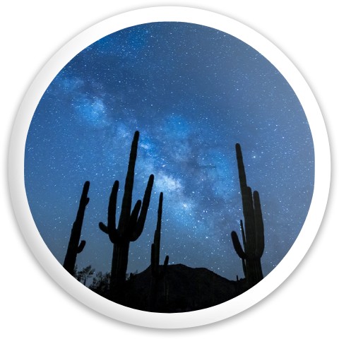 Design 550259 Disc Golf and Ultimate Discs