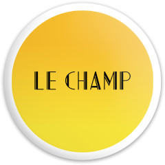 Champ Disc Golf and Ultimate Discs Image
