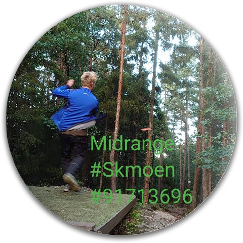 Design 551350 Disc Golf and Ultimate Discs