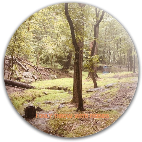 Design 556894 Disc Golf and Ultimate Discs