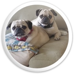 #Turbopug #Tallulahpug Disc Golf and Ultimate Discs Image
