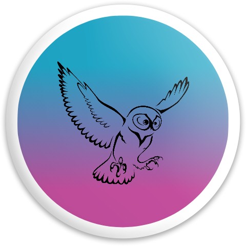 Design 558426 Disc Golf and Ultimate Discs