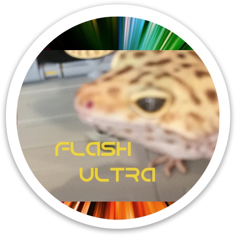 Design 563450 Disc Golf and Ultimate Discs