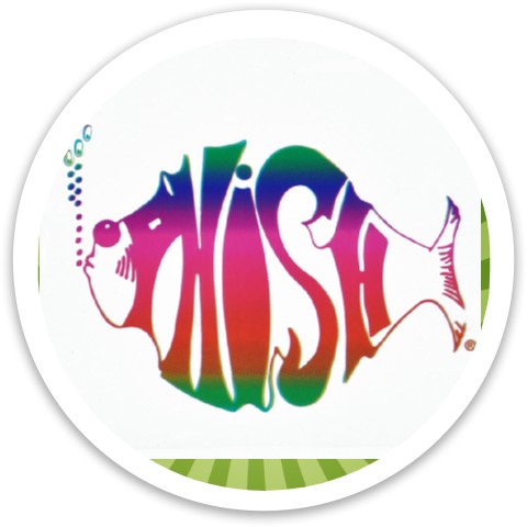 Design 564815 Disc Golf and Ultimate Discs