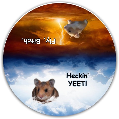 Design 567922 Disc Golf and Ultimate Discs