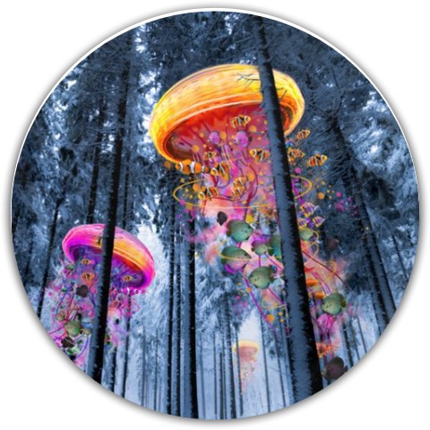 Design 567931 Disc Golf and Ultimate Discs