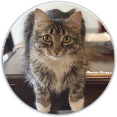 meow-range