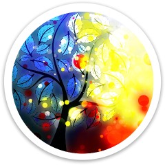 Design 569377