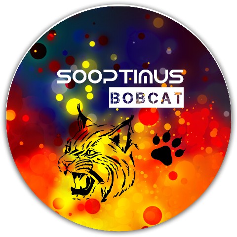 Design 570390 Disc Golf and Ultimate Discs