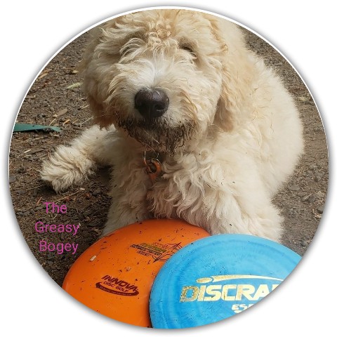 Design 570663 Disc Golf and Ultimate Discs