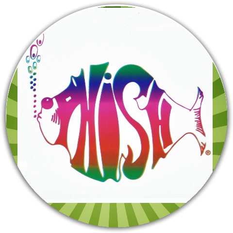 Design 571002 Disc Golf and Ultimate Discs