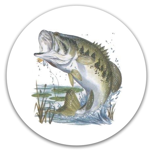 Design 572125 Disc Golf and Ultimate Discs