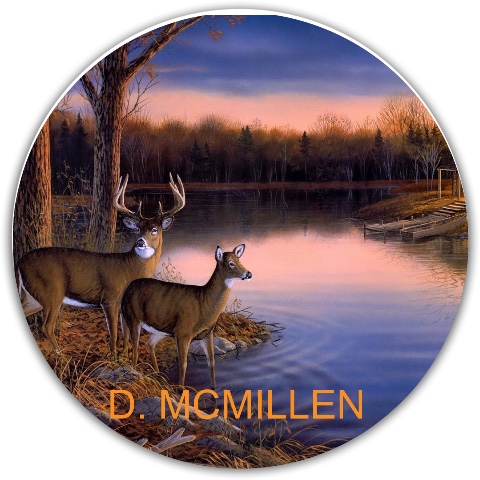 Design 572422 Disc Golf and Ultimate Discs