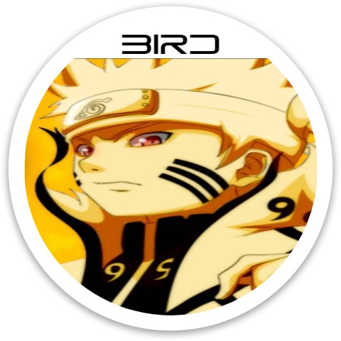 Design 573700 Disc Golf and Ultimate Discs