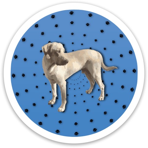Design 573984 Disc Golf and Ultimate Discs