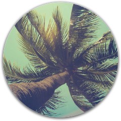 Design 575233
