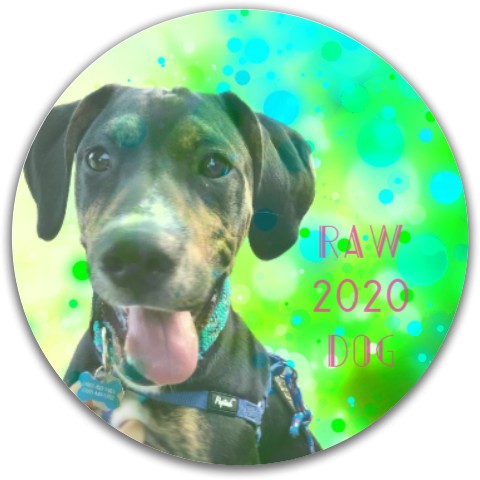 Design 576437 Disc Golf and Ultimate Discs