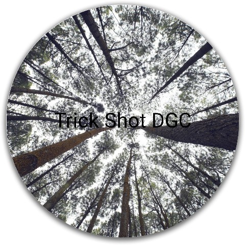 Design 576458 Disc Golf and Ultimate Discs