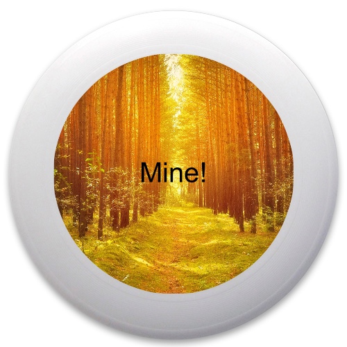 Design 577939 Disc Golf and Ultimate Discs
