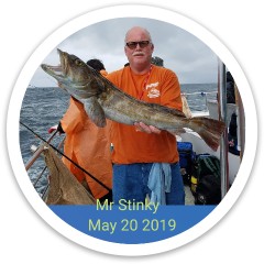 Mr Stinky