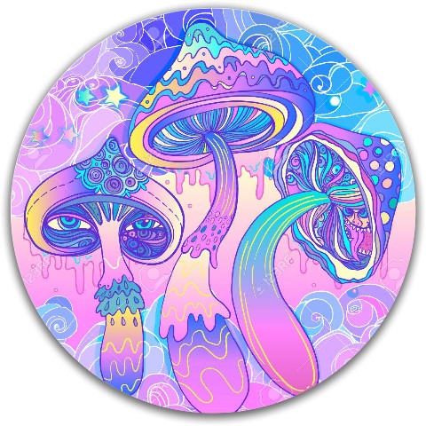Design 580217 Disc Golf and Ultimate Discs