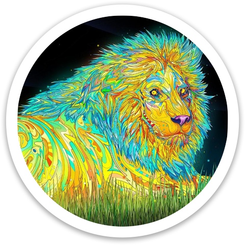 Design 580702 Disc Golf and Ultimate Discs