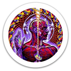 Design 581035 Disc Golf and Ultimate Discs Image