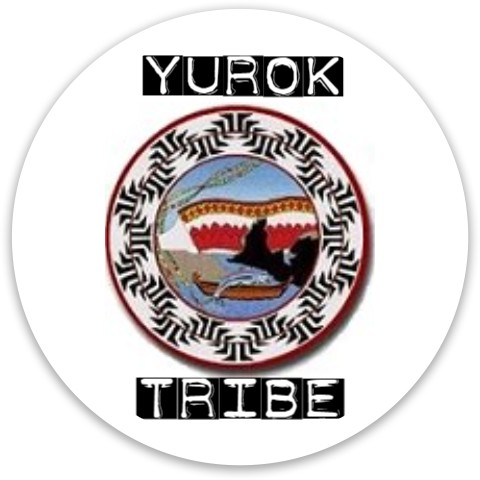 Design 583126 Disc Golf and Ultimate Discs