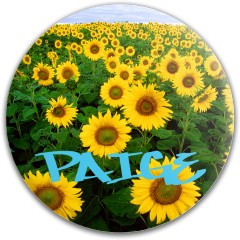 Design 590028