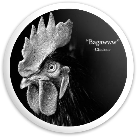 Design 591510 Disc Golf and Ultimate Discs