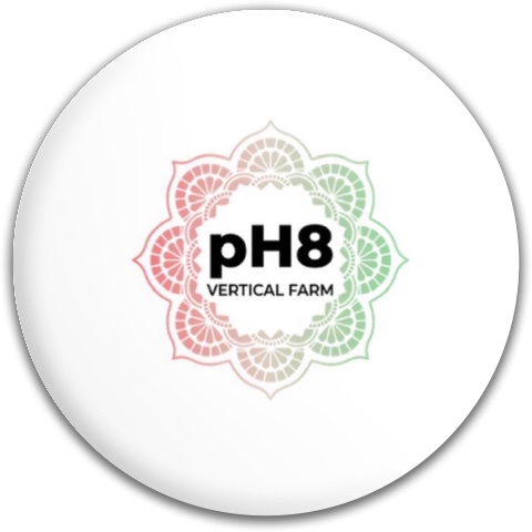 Design 593877 Disc Golf and Ultimate Discs
