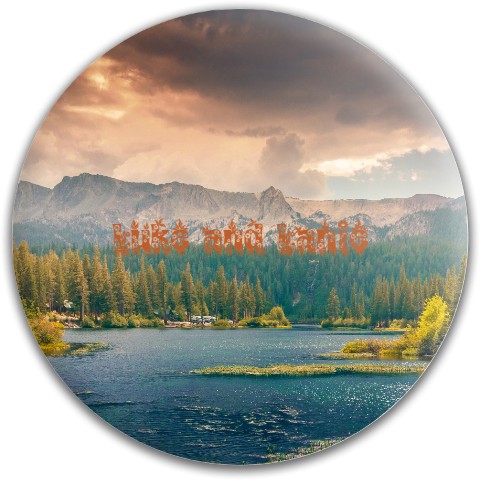 Design 595447 Disc Golf and Ultimate Discs
