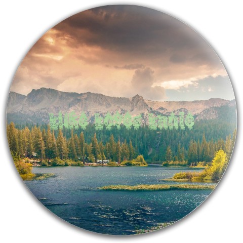 Design 595450 Disc Golf and Ultimate Discs