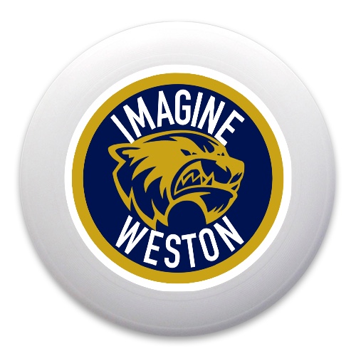 Design 597627 Disc Golf and Ultimate Discs