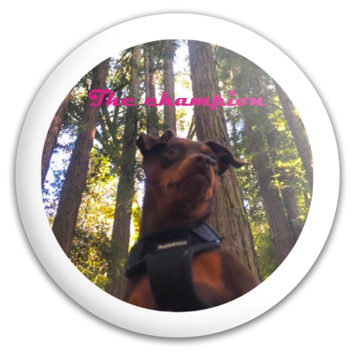Design 599283 Disc Golf and Ultimate Discs