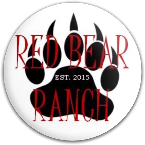 Design 599871 Disc Golf and Ultimate Discs