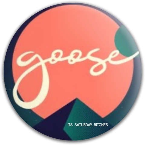 Design 600904 Disc Golf and Ultimate Discs