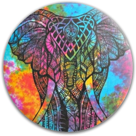 Design 601237 Disc Golf and Ultimate Discs