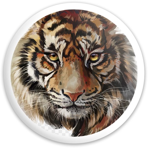 Design 601614 Disc Golf and Ultimate Discs