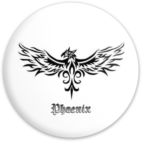 Design 601804 Disc Golf and Ultimate Discs