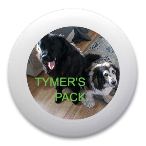 Design 602220 Disc Golf and Ultimate Discs
