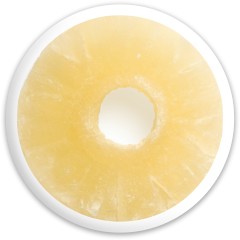 Food disc