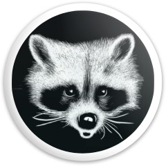 Raccoon