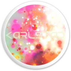 The &amp;quot;Karlstad&amp;quot; disc