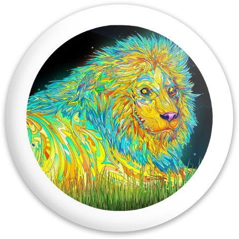Design 608612 Disc Golf and Ultimate Discs